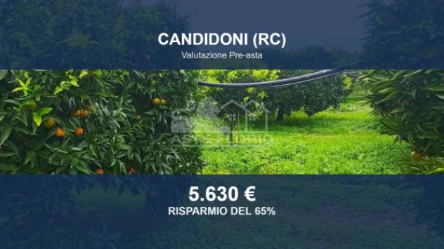 Immobile in asta di 3875 m² in vendita a Candidoni