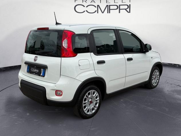 FIAT Panda 1.0 FireFly 70cv S&S Hybrid - Foto 3