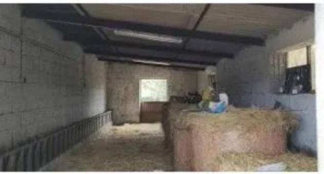 Immobile in asta di 145 m² in vendita a Pozzomaggiore - Foto 5