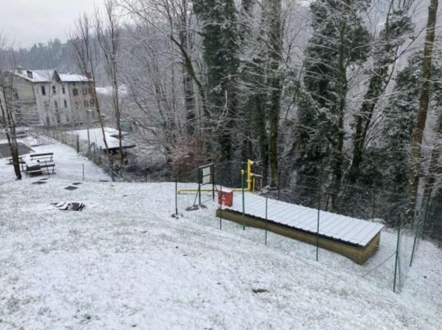 367/2023 3 BG - Terreni in asta a Taleggio - Foto 8