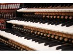 Organista professionista a Como