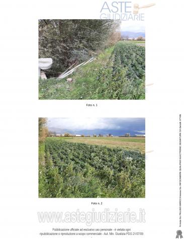 IMMOBILI-ALTRA CATEGORIA-Strada 2, 67051 Avezzano AQ, Italia - Foto 3