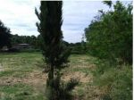 Terreno Edificabile - Rif. 1995