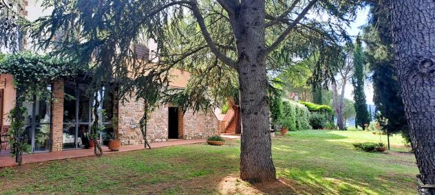 Vendita Rustico casale da 680 mq con giardino - Foto 12