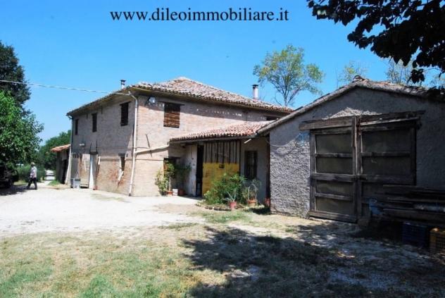 Agricolo in vendita a Pesaro - Foto 5