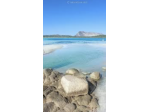 LAST MINUTE VACANZE SARDEGNA