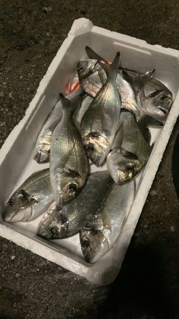 uscite di pesca in barca - charter di pesca liguria - Foto 2