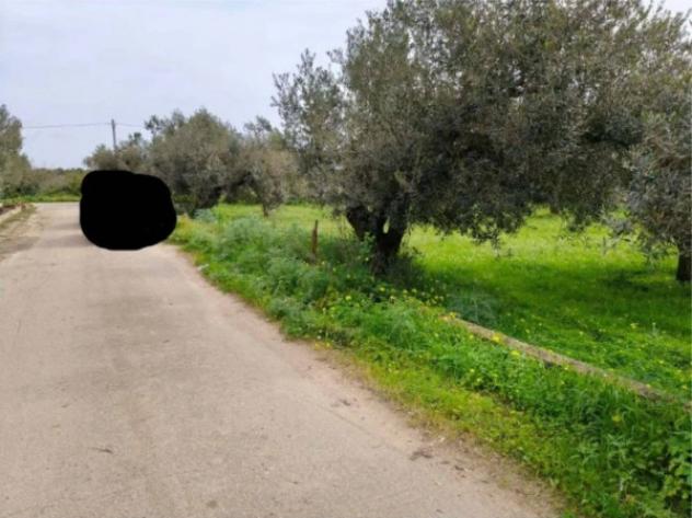 Immobile in asta di 6740 m² in vendita a Castelvetrano - Foto 3