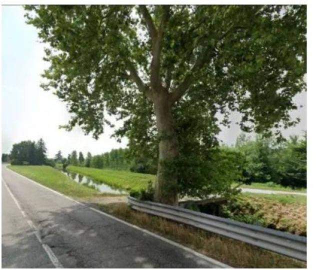 Immobile in asta di 29309 m² in vendita a Cerea - Foto 8