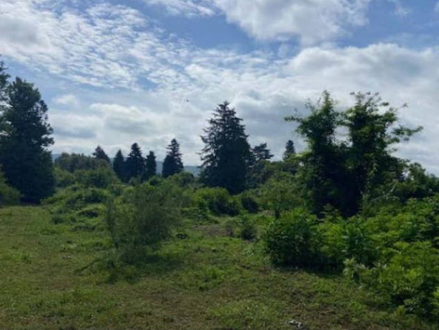 Immobile in asta di 40000 m² in vendita a Velletri - Foto 2