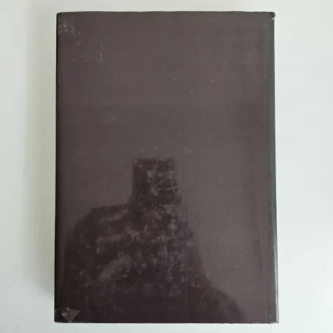 Lisignago nella Storia - Remo Stenico - Biblioteca Francescani - 1991 - TRACCIAT - Foto 8
