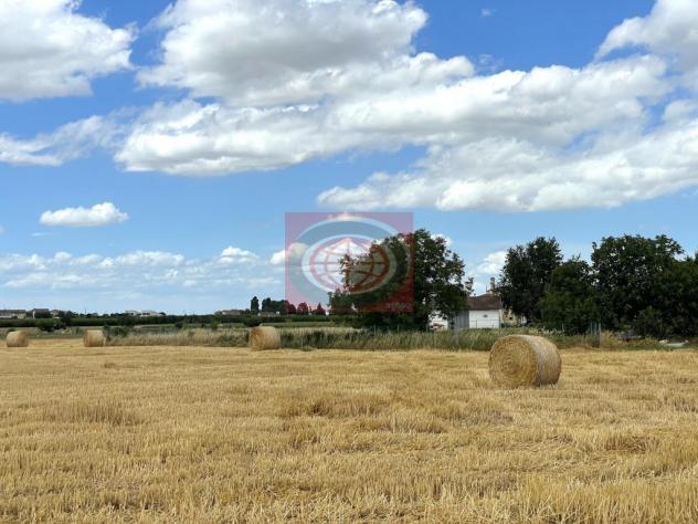 Cesena lato mare: terreno edificabile per realizzo casa singola o abbinata - Foto 2