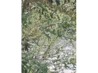 Amore e incontri Pinerolo - Valpellice