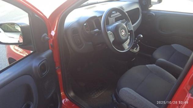 FIAT Panda 1.0 FireFly S&S Hybrid rif. 23002127 - Foto 8