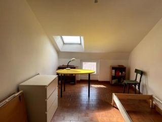 Stanza in appartamento in affitto a Torino