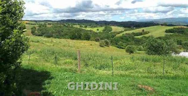 TERRENO AGRICOLO di 1 vani e di 1 mq (CAMPAGNATICO - CENTRO) rif. 2511.227M - Foto 3