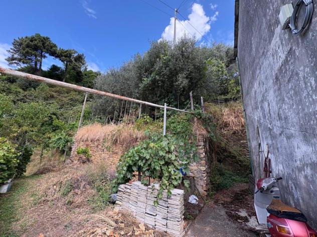 Rustico in vendita a Serra - Montignoso 140 mq Rif: 1338461 - Foto 7