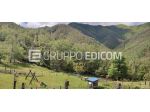 Terreno in vendita a Mulazzo - Rif. 3560036