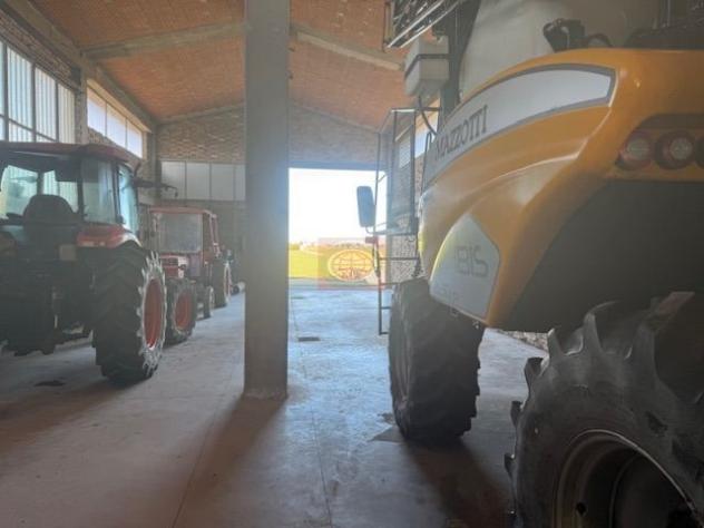 SAN GIORGIO (CAPC78): Capannone uso agricolo con annesso terreno agricolo. - Foto 8