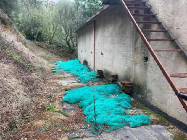 Immobile in asta di 102 m² in vendita a Galatro - Foto 10