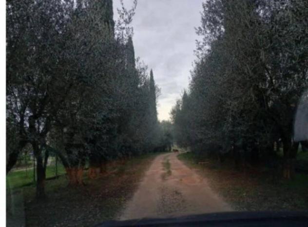 Immobile in asta di 176 m² con più di 5 locali in vendita a Sermoneta - Foto 14