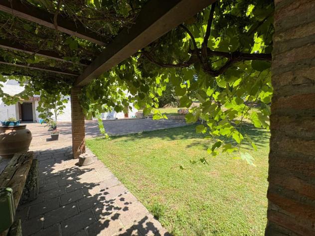 Appartamento in affitto a Calcinaia 40 mq Rif: 1429448 - Foto 8