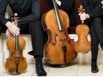 Quartetto d'archi a Cuneo, Fossano, Alba e Bra e limitrofi