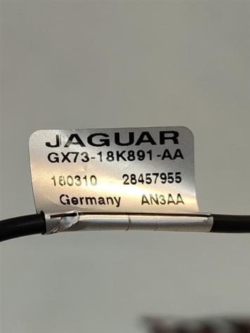 CENTRALINA AMPLIFICATORE JAGUAR XF Serie GX73-18K891-AA AJ200D/204DT diesel 1999 (15) - Foto 3