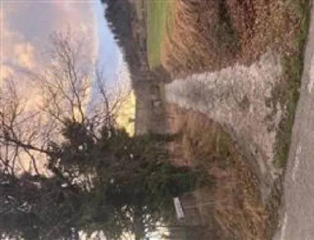 Immobile in asta di 2044 m² in vendita a Monte Grimano Terme - Foto 3