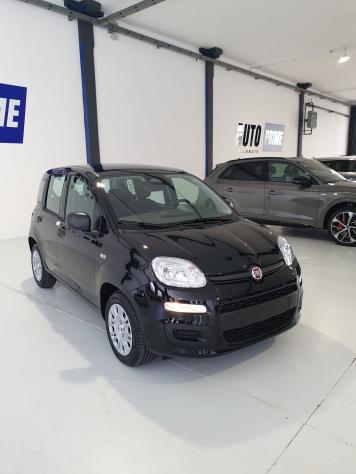 FIAT Pandina Pandina 1.0 firefly hybrid Icon s&s 65cv - Foto 3