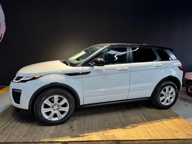 Land Rover Range Rover Evoque Range Rover Evoque 2.0 TD4 150 CV 5p. Business Edition SE - Foto 8