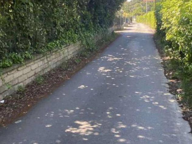 Immobile in asta di 2193 m² in vendita a Grottaferrata - Foto 15