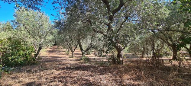 Villa in vendita a Martina Franca - Foto 3