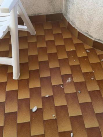 Immobile in asta di 147 m² in vendita a Melissano - Foto 15