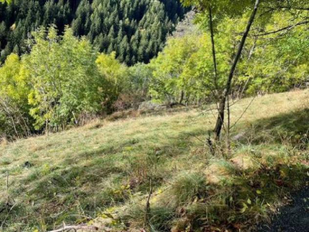 Immobile in asta di 2040 m² in vendita a Grosio - Foto 10