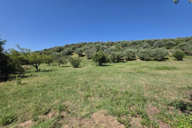 Terreno di 12000 m² in vendita a Guidonia Montecelio