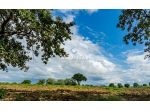 TERRENO AGRICOLO A MANERBA