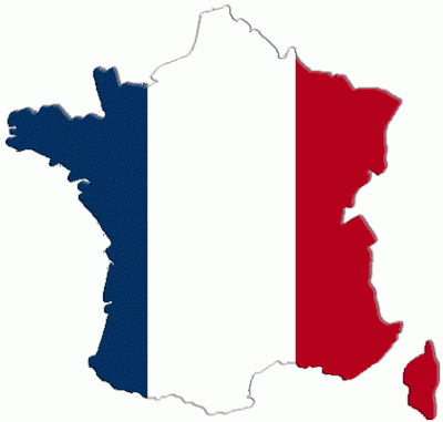 INSEGNANTE MADRELINGUA FRANCESE IMPARTISCE LEZIONI