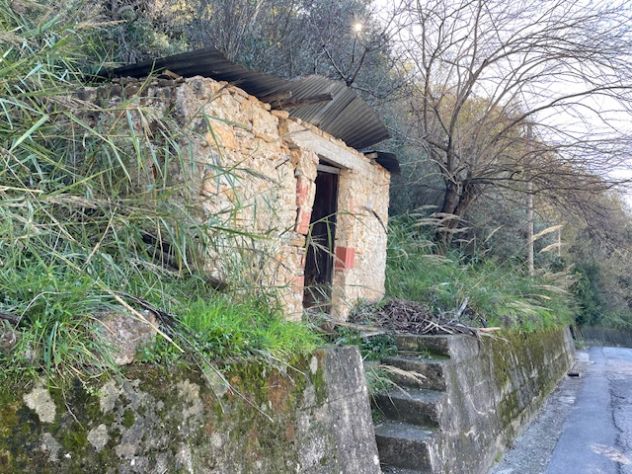 terreno con piccolo rudere - Foto 5
