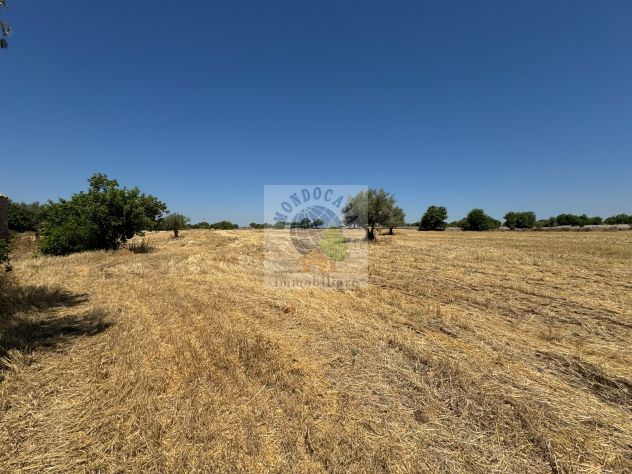 TERRENO AGRICOLO 1800 MQ CON RUDERE DI 240 MQ - Foto 4