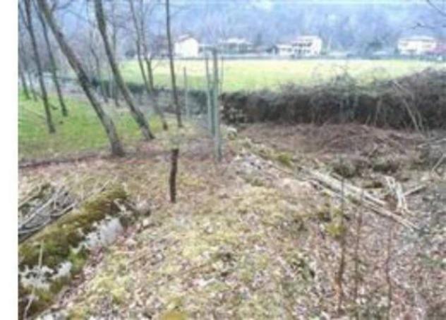 Immobile in asta di 133870 m² in vendita a Nimis - Foto 7