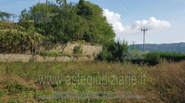 AZIENDE-ALTRA CATEGORIA-Via del Palagio - Foto 6