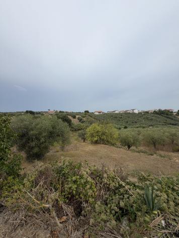 Uliveto in vendita a Torrevecchia Teatina - Foto 4