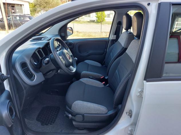 FIAT Panda PREZZO REALE NO VINCOLI / 1.0 Hybrid City Life 5 posti - Foto 3
