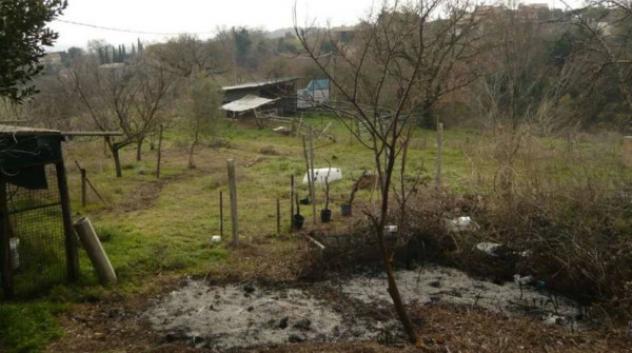 Immobile in asta di 448 m² in vendita a Montefiascone - Foto 8