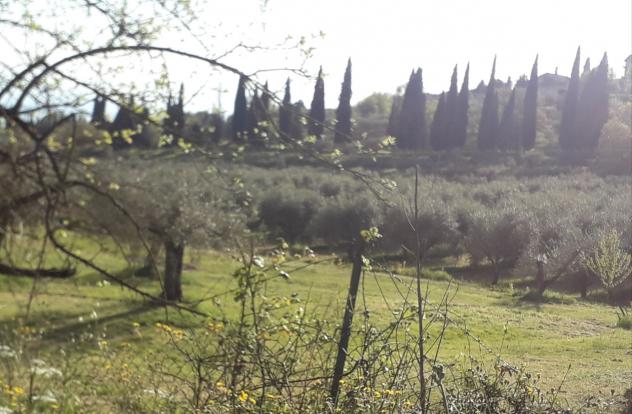 Indipendente in vendita a Passignano sul Trasimeno - Foto 16