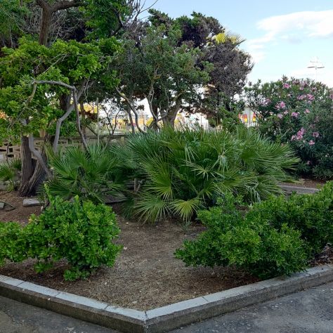 CIN: IT077003C205481001 CasaVacanze -villa Fronte Mare - Foto 7