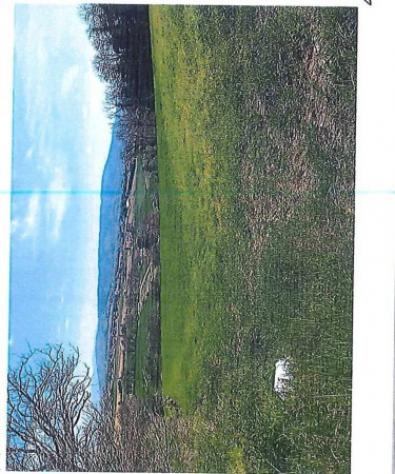 Immobile in asta di 33490 m² in vendita a Perugia - Foto 16