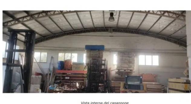 Immobile in asta di 457 m² in vendita a San Severo - Foto 6