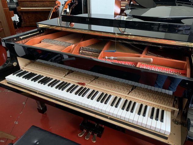 ACCORDATORE DI PIANOFORTI MONZA E BRIANZA